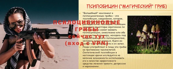 ешки Абинск
