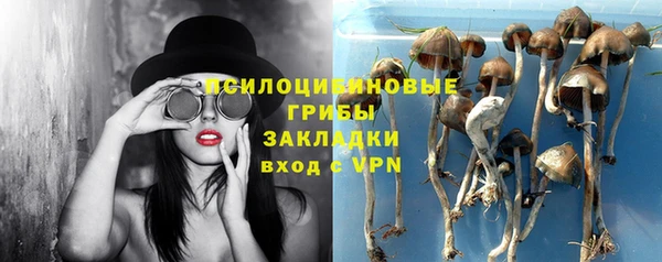 а пвп мука Абаза